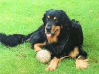 ein Bild aus dem Album