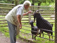 das zu drehende Bild