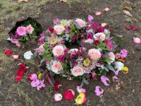 ein Bild aus dem Album